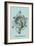 Jellyfish: Trachymedusae-Ernst Haeckel-Framed Art Print