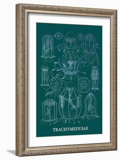 Jellyfish: Trachymedusae-Ernst Haeckel-Framed Art Print