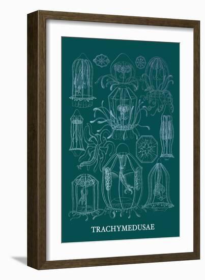 Jellyfish: Trachymedusae-Ernst Haeckel-Framed Art Print