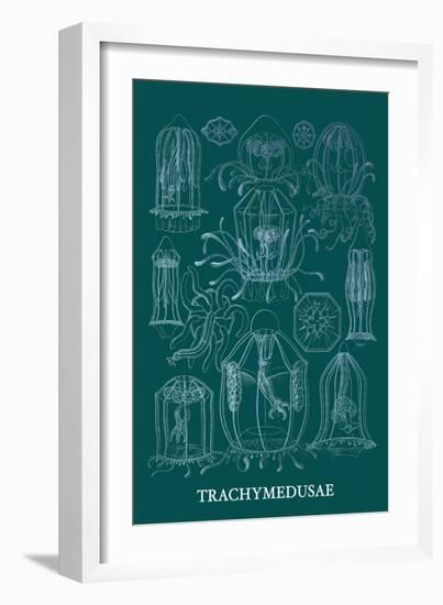 Jellyfish: Trachymedusae-Ernst Haeckel-Framed Art Print