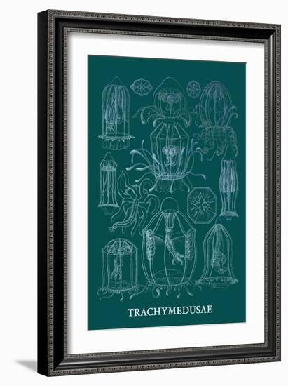 Jellyfish: Trachymedusae-Ernst Haeckel-Framed Art Print