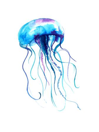 Jellyfish Watercolor Illustration Medusa Painting Isolated On White Background Colorful Tattoo De Art Print Anna Kutukova Art Com
