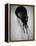 Jellyfish-Henry Horenstein-Framed Premier Image Canvas