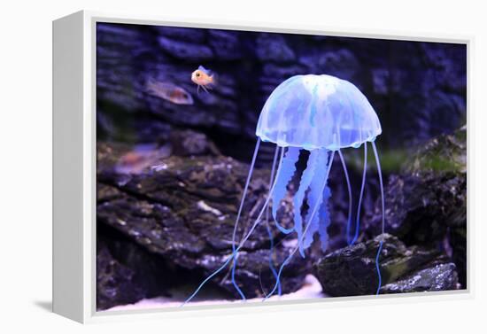 Jellyfish-Aizhong Wang-Framed Premier Image Canvas