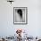 Jellyfish-Henry Horenstein-Framed Photographic Print displayed on a wall