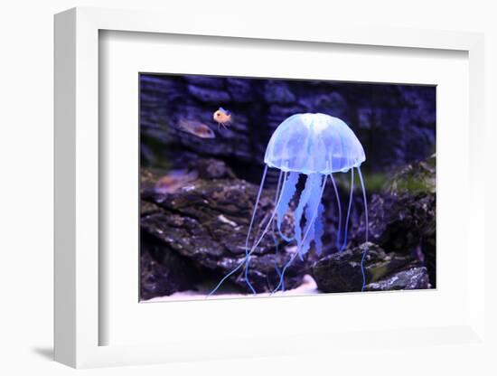 Jellyfish-Aizhong Wang-Framed Photographic Print