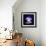 Jellyfish-Nicousnake-Framed Photographic Print displayed on a wall