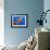 Jellyfish-topseller-Framed Photographic Print displayed on a wall