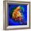 Jellyfish-Ursula Abresch-Framed Photographic Print