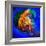 Jellyfish-Ursula Abresch-Framed Photographic Print