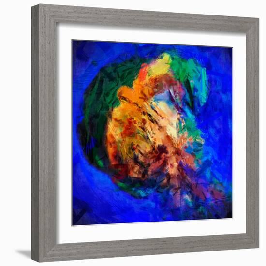 Jellyfish-Ursula Abresch-Framed Photographic Print