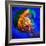 Jellyfish-Ursula Abresch-Framed Photographic Print