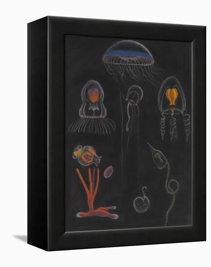 Jellyfish-Philip Henry Gosse-Framed Premier Image Canvas