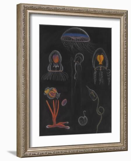 Jellyfish-Philip Henry Gosse-Framed Giclee Print