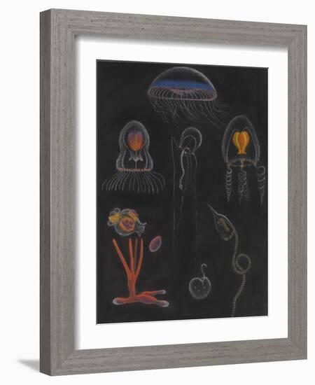 Jellyfish-Philip Henry Gosse-Framed Giclee Print