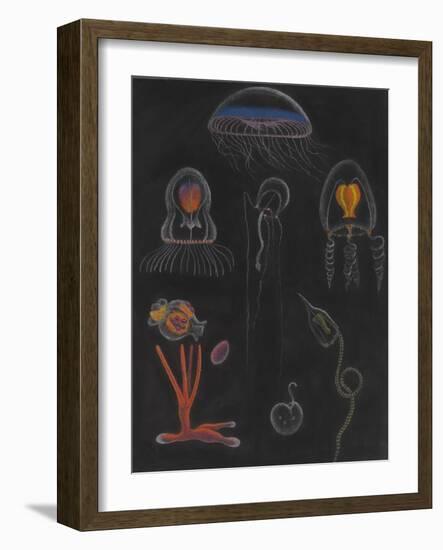 Jellyfish-Philip Henry Gosse-Framed Giclee Print