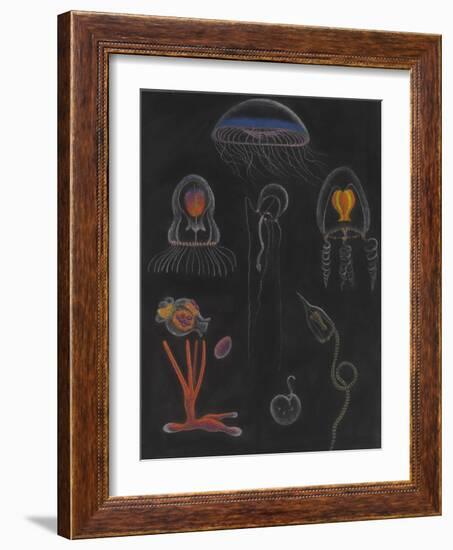 Jellyfish-Philip Henry Gosse-Framed Giclee Print