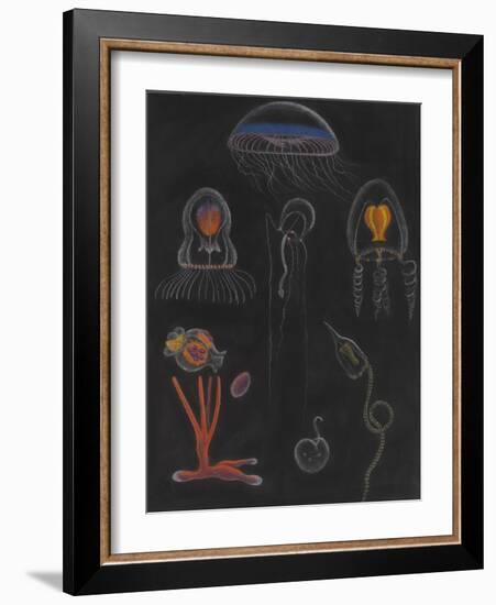 Jellyfish-Philip Henry Gosse-Framed Giclee Print