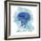 Jellyfish-Erin Clark-Framed Giclee Print