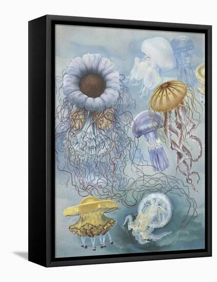 Jellyfish-null-Framed Premier Image Canvas