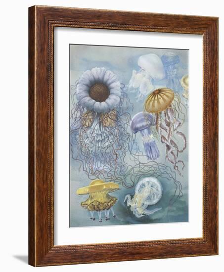 Jellyfish-null-Framed Giclee Print