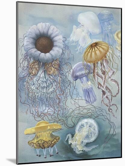 Jellyfish-null-Mounted Giclee Print