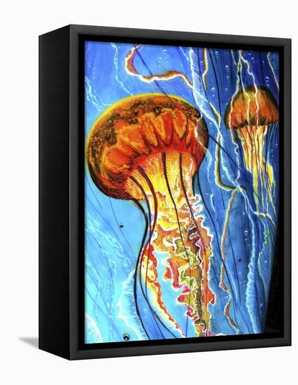 Jellys-Martin Nasim-Framed Premier Image Canvas