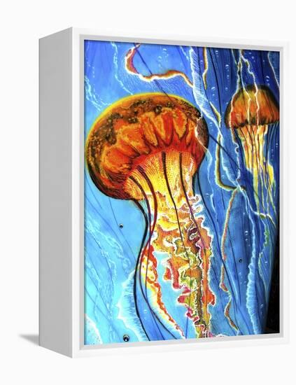 Jellys-Martin Nasim-Framed Premier Image Canvas