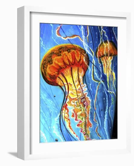 Jellys-Martin Nasim-Framed Giclee Print