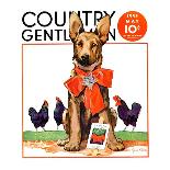 "Guarding the Garden," Country Gentleman Cover, May 1, 1935-Jene Klebe-Laminated Giclee Print