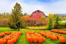 Autumn Pumpkin Patch with Rustic Old Red Barn and Fall Colors-jenifoto-Photographic Print