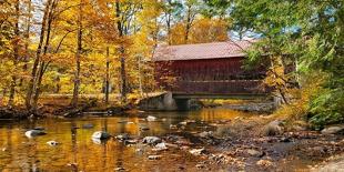 Autumn Pumpkin Patch with Rustic Old Red Barn and Fall Colors-jenifoto-Photographic Print