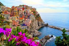 Village of Manarola, on the Cinque Terre Coast of Italy with Flowers-Jenifoto-Framed Photographic Print