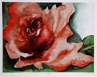A Rose Is-Jenik Cook-Collectable Print
