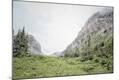 Photographic Print