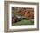 Jenne Farm in the Fall, near Woodstock, Vermont, USA-Charles Sleicher-Framed Photographic Print