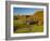 Jenne Farm, Nr Woodstock, Vermont, USA-Alan Copson-Framed Photographic Print