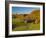 Jenne Farm, Nr Woodstock, Vermont, USA-Alan Copson-Framed Photographic Print