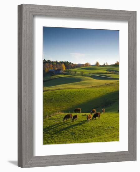 Jenne Farm, Nr Woodstock, Vermont, USA-Alan Copson-Framed Photographic Print