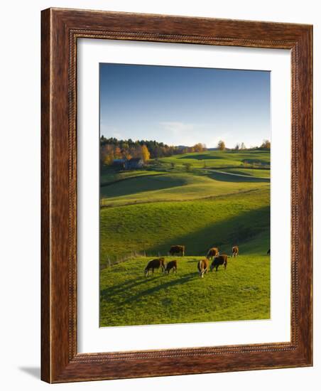 Jenne Farm, Nr Woodstock, Vermont, USA-Alan Copson-Framed Photographic Print