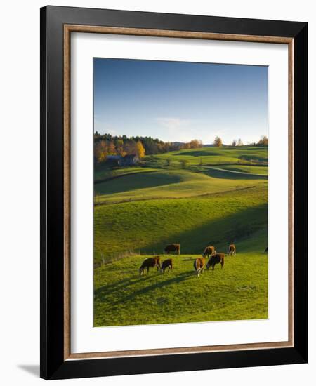 Jenne Farm, Nr Woodstock, Vermont, USA-Alan Copson-Framed Photographic Print