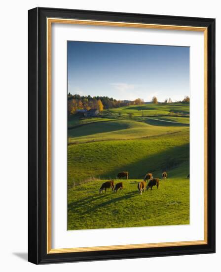 Jenne Farm, Nr Woodstock, Vermont, USA-Alan Copson-Framed Photographic Print