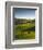 Jenne Farm, Nr Woodstock, Vermont, USA-Alan Copson-Framed Photographic Print