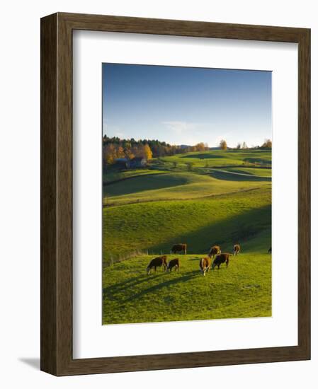 Jenne Farm, Nr Woodstock, Vermont, USA-Alan Copson-Framed Photographic Print