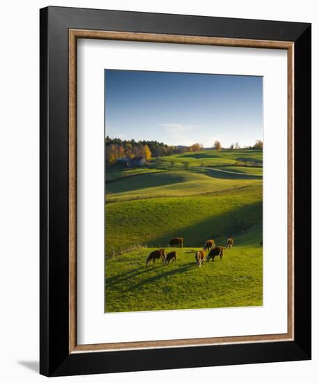 Jenne Farm, Nr Woodstock, Vermont, USA-Alan Copson-Framed Photographic Print