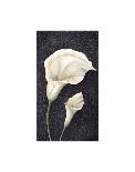 Graceful Blossoms-Jennette Brice-Art Print