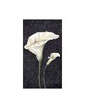 Graceful Blossoms-Jennifer Brice-Giclee Print