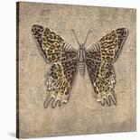 Leopard Butterfly-Jennette Brice-Stretched Canvas