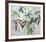 Jennies plant-Anne Walker-Framed Limited Edition