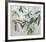 Jennies plant-Anne Walker-Framed Limited Edition